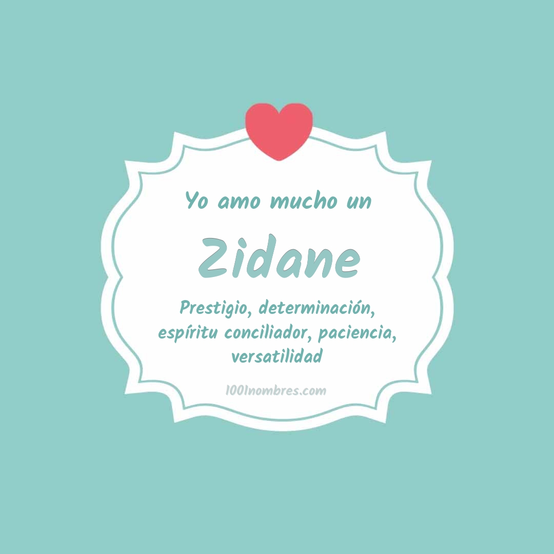Yo amo mucho Zidane Yo amo mucho Zidane